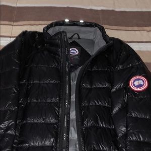 canada goose shiny coat